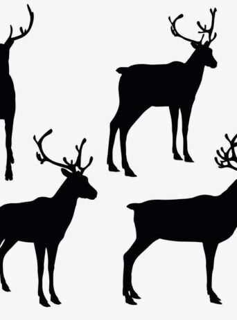 Illustration Of Reindeer In Silhouette Isolated On White : Stock Vector (Royalty Free) 017344
