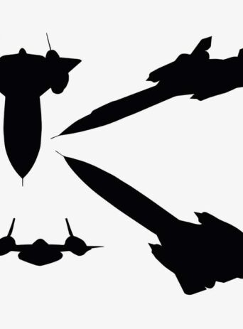 Illustration Of Blackbird In Silhouette Isolated On White : Stock Vector (Royalty Free) 017452