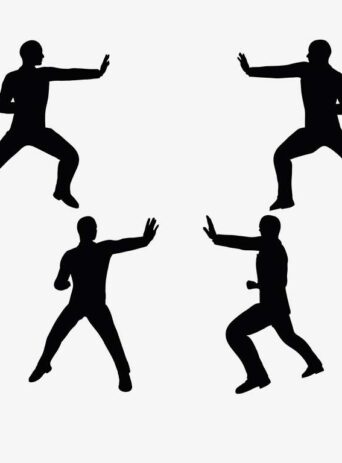 Illustration Of A Man In Karate Pose In Silhouette Isolated On White : Stock Vector (Royalty Free) 017480
